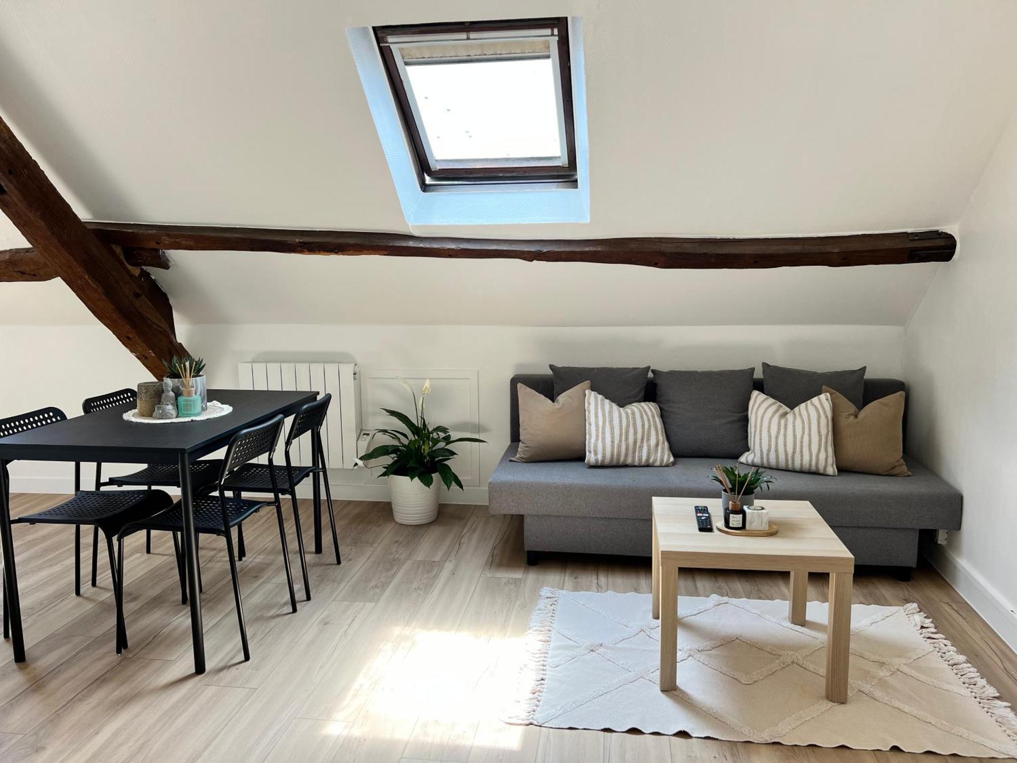Appart Asterix Cdg Parc Expo Paris Chantilly Διαμέρισμα Plailly Εξωτερικό φωτογραφία