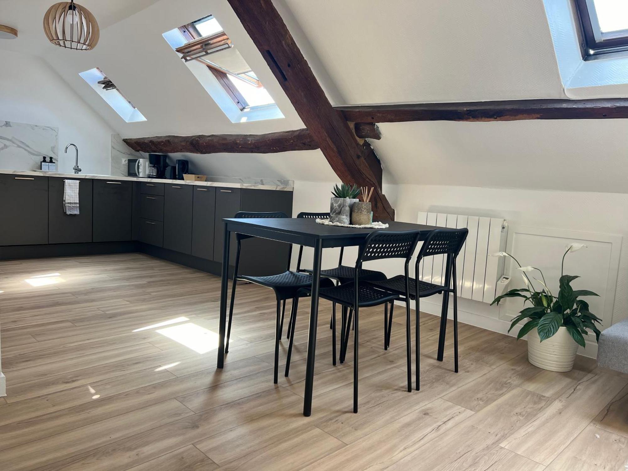 Appart Asterix Cdg Parc Expo Paris Chantilly Διαμέρισμα Plailly Εξωτερικό φωτογραφία
