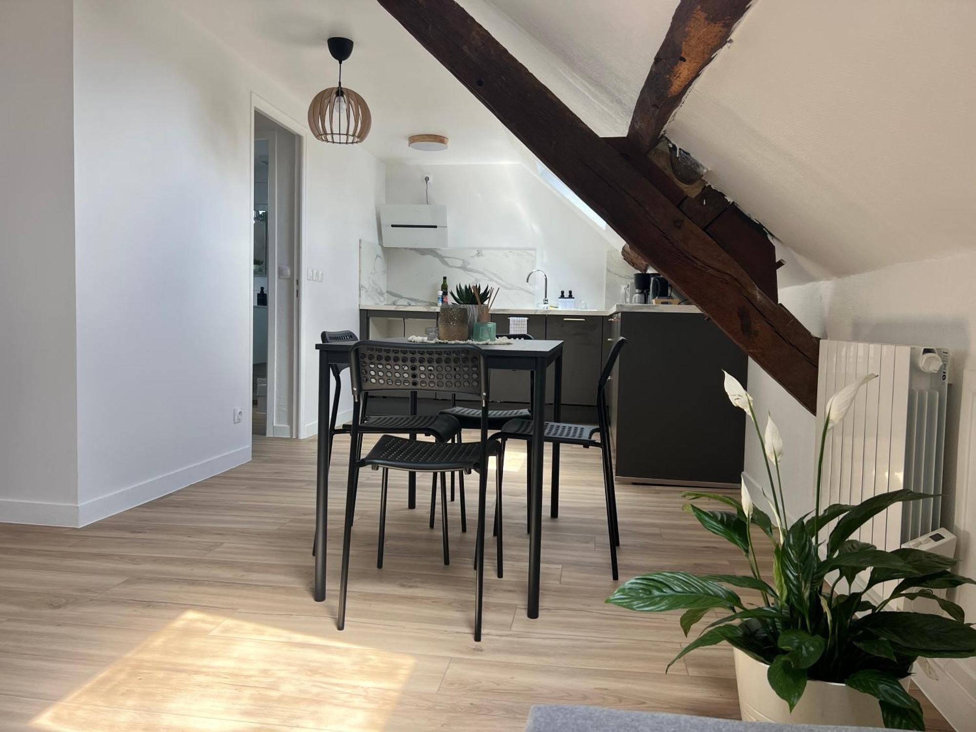Appart Asterix Cdg Parc Expo Paris Chantilly Διαμέρισμα Plailly Εξωτερικό φωτογραφία